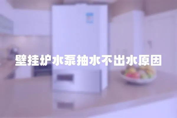 壁掛爐水泵抽水不出水原因