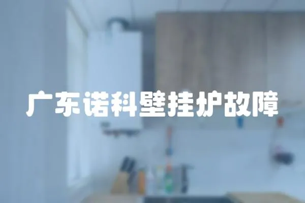 廣東諾科壁掛爐故障