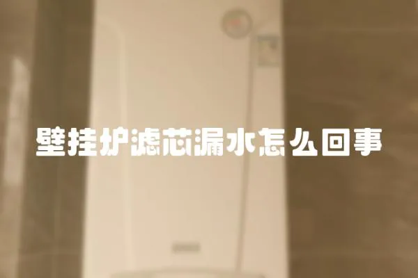 壁掛爐濾芯漏水怎么回事