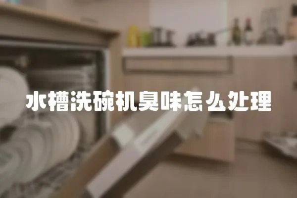 水槽洗碗機臭味怎么處理