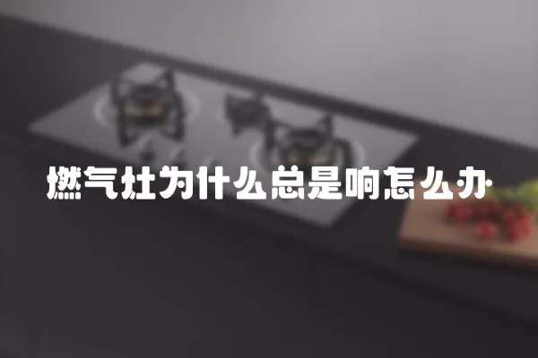 燃?xì)庠顬槭裁纯偸琼懺趺崔k