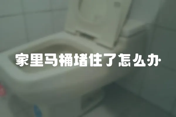 家里馬桶堵住了怎么辦