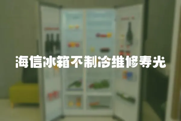 海信冰箱不制冷維修壽光