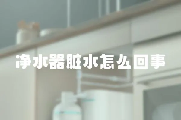 凈水器臟水怎么回事