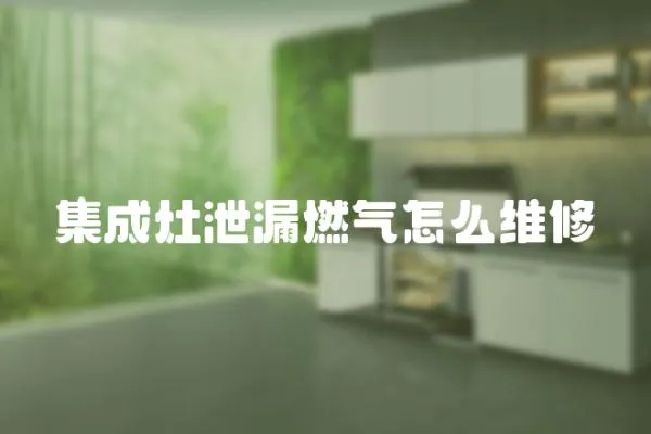 集成灶泄漏燃氣怎么維修