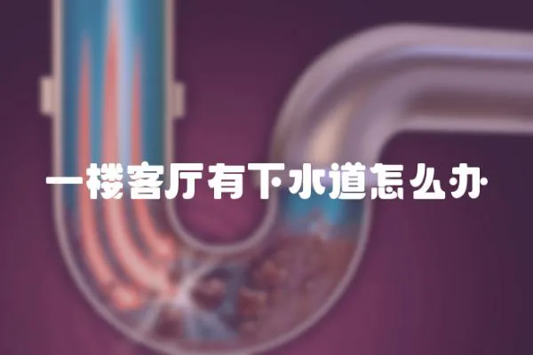 一樓客廳有下水道怎么辦