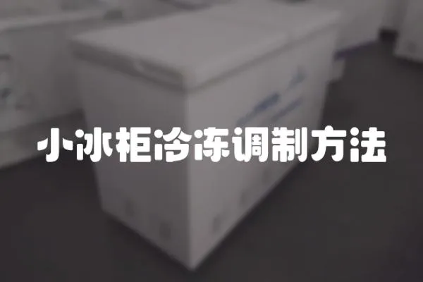 小冰柜冷凍調制方法