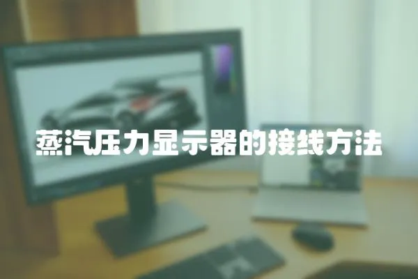 蒸汽壓力顯示器的接線方法