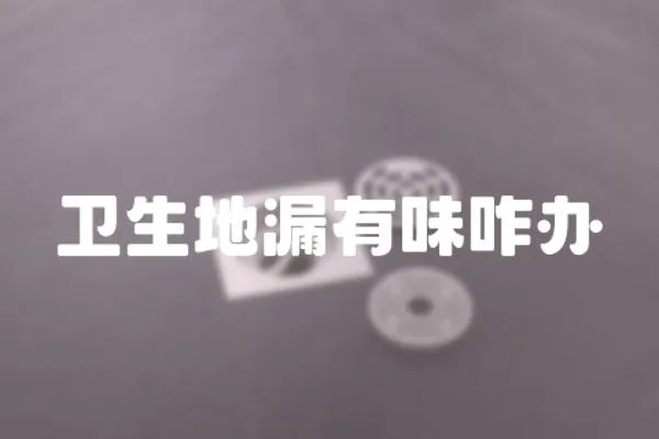 衛生地漏有味咋辦