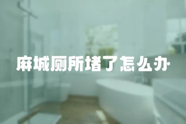 麻城廁所堵了怎么辦