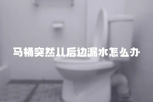 馬桶突然從后邊漏水怎么辦