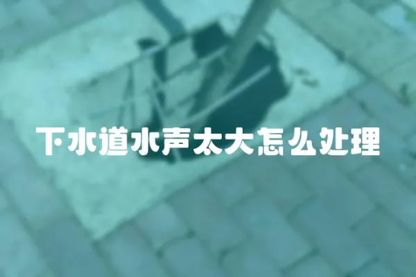 下水道水聲太大怎么處理