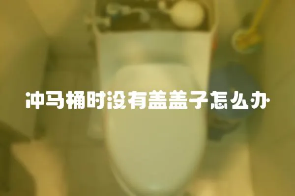 沖馬桶時(shí)沒有蓋蓋子怎么辦