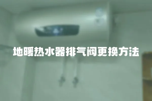 地暖热水器排气阀更换方法