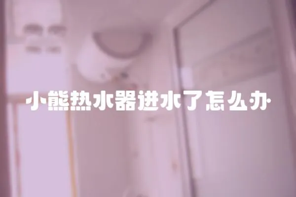 小熊熱水器進水了怎么辦