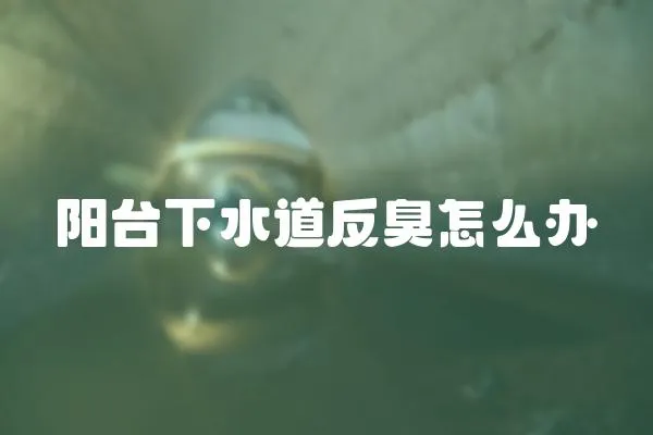 陽臺下水道反臭怎么辦