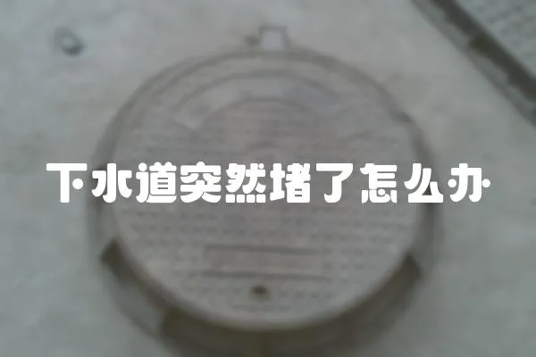 下水道突然堵了怎么辦