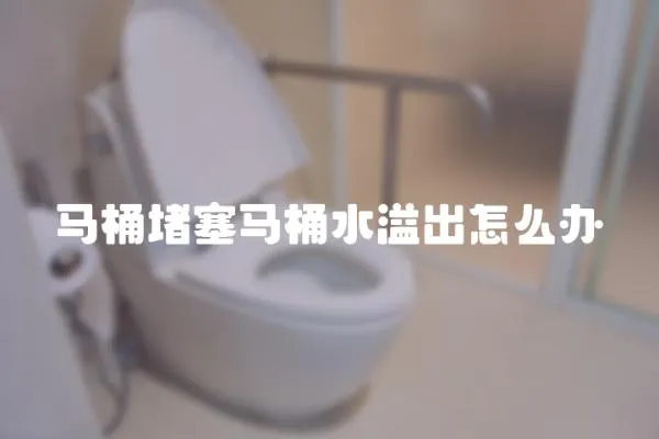 馬桶堵塞馬桶水溢出怎么辦