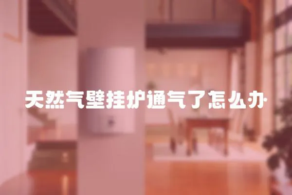 天然氣壁掛爐通氣了怎么辦