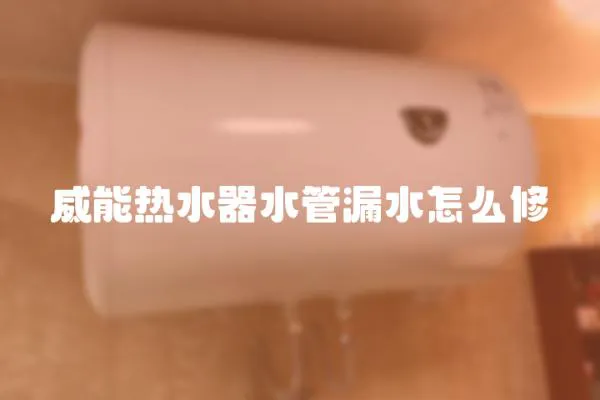 威能熱水器水管漏水怎么修