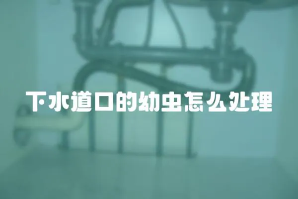 下水道口的幼蟲怎么處理