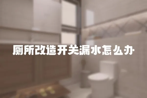 廁所改造開關漏水怎么辦