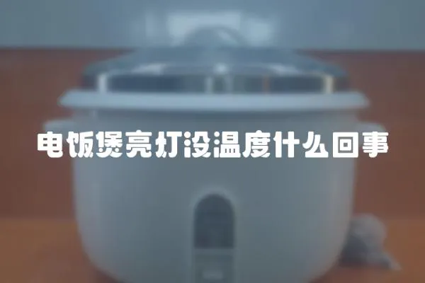 電飯煲亮燈沒溫度什么回事