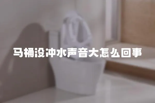 馬桶沒沖水聲音大怎么回事