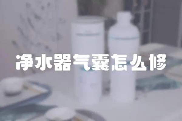 凈水器氣囊怎么修