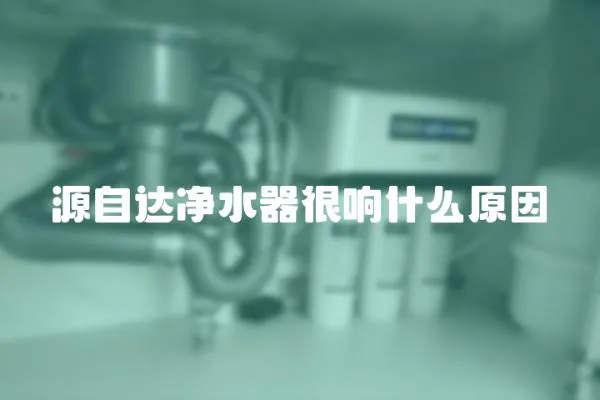 源自達凈水器很響什么原因