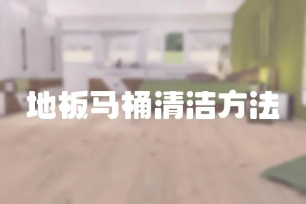 地板馬桶清潔方法