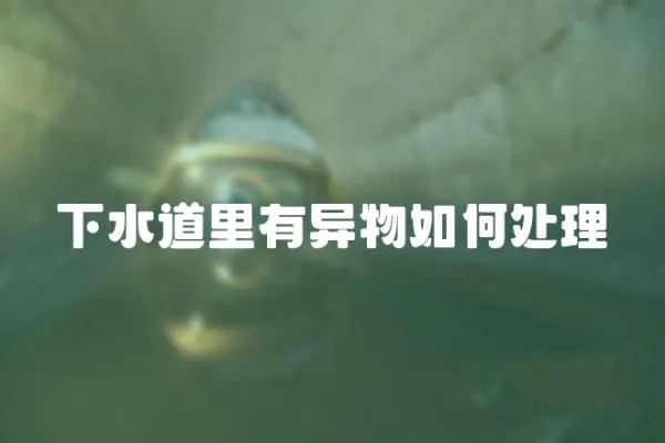 下水道里有異物如何處理