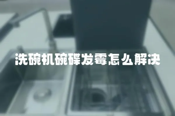 洗碗機碗碟發霉怎么解決
