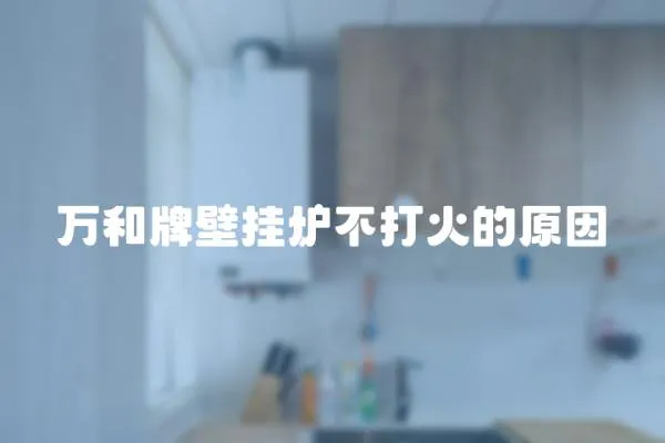 萬和牌壁掛爐不打火的原因