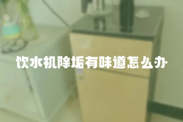 飲水機除垢有味道怎么辦