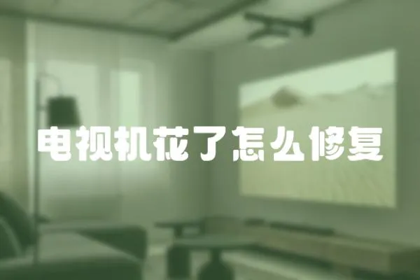 電視機花了怎么修復