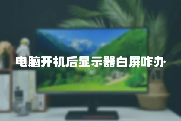 電腦開機后顯示器白屏咋辦