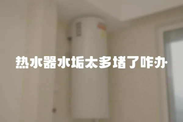 熱水器水垢太多堵了咋辦
