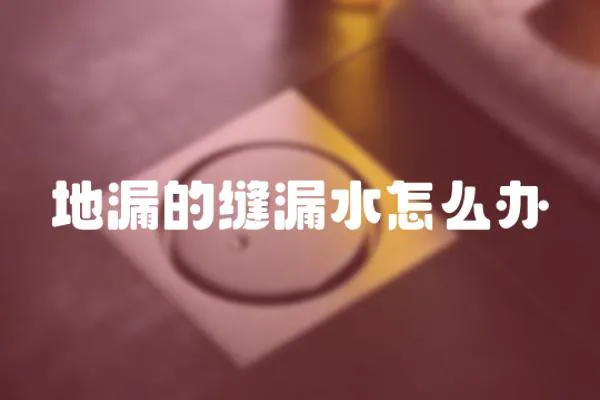 地漏的縫漏水怎么辦