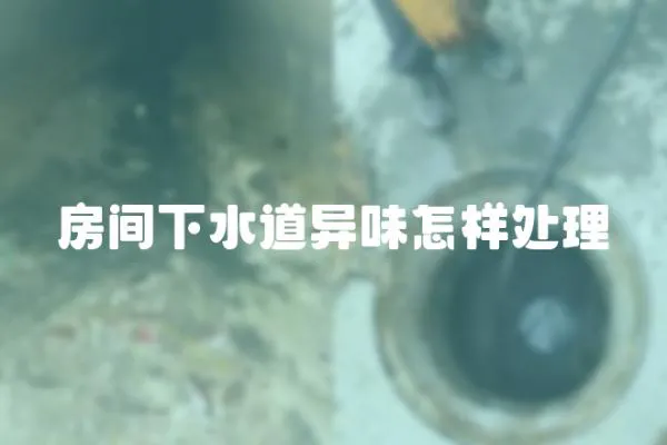 房间下水道异味怎样处理