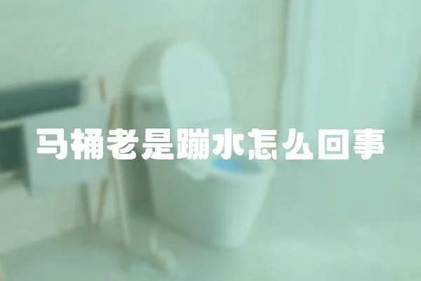 馬桶老是蹦水怎么回事