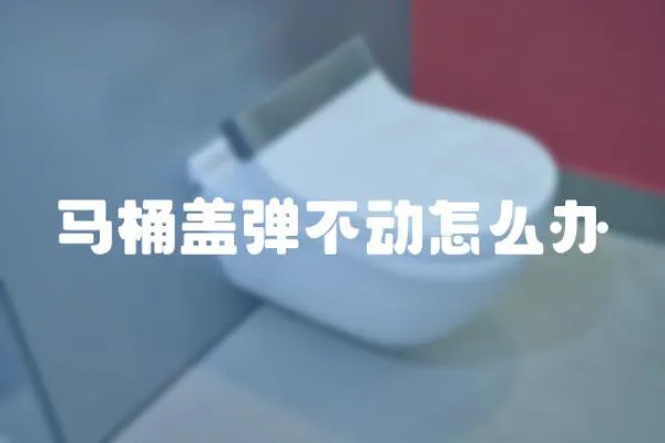 馬桶蓋彈不動(dòng)怎么辦