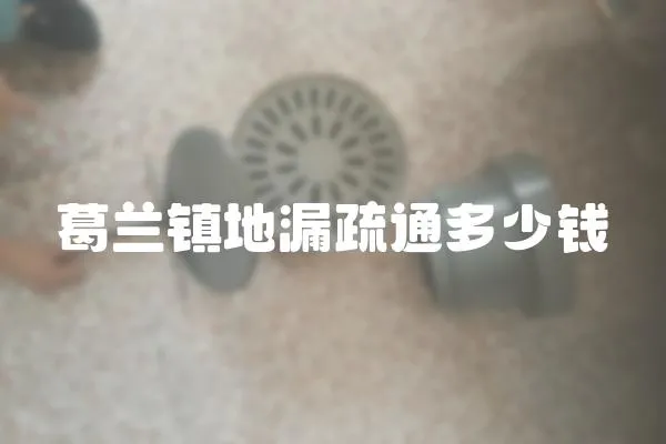 葛蘭鎮地漏疏通多少錢