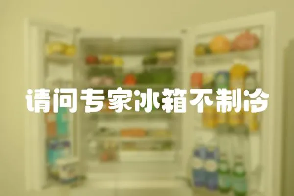 請問專家冰箱不制冷