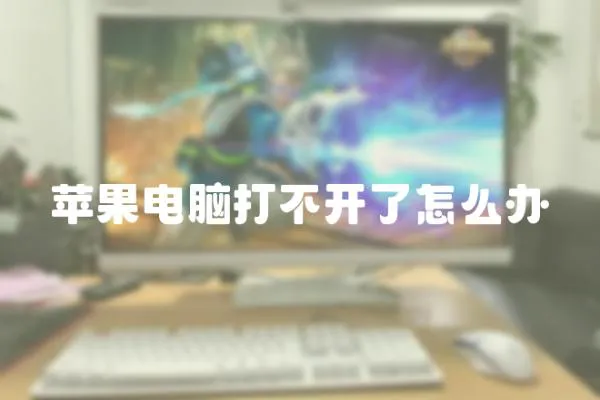 蘋果電腦打不開了怎么辦