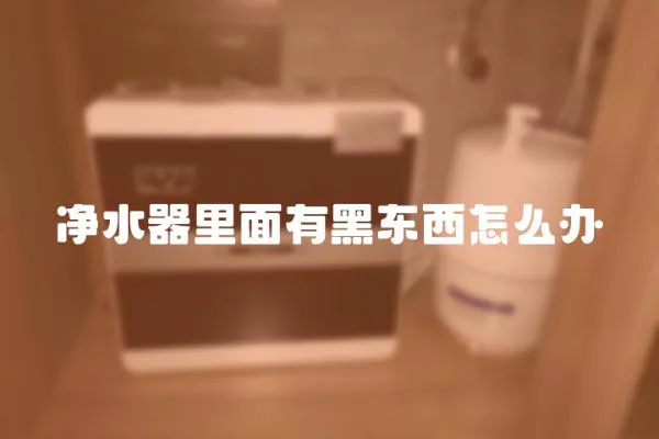 凈水器里面有黑東西怎么辦