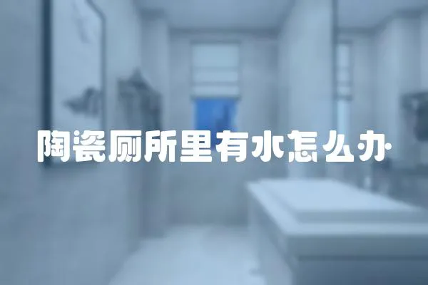 陶瓷廁所里有水怎么辦