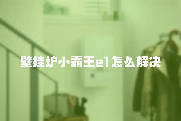 壁掛爐小霸王e1怎么解決