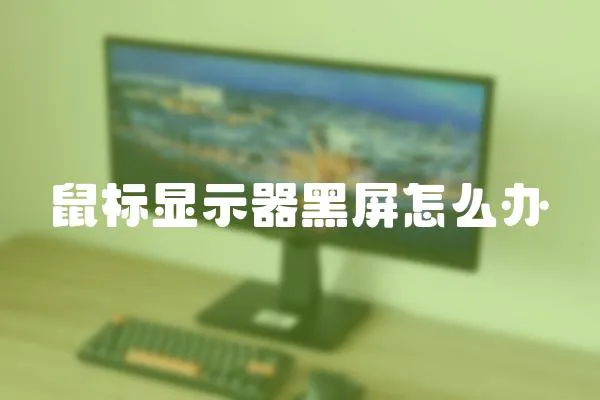 鼠標(biāo)顯示器黑屏怎么辦