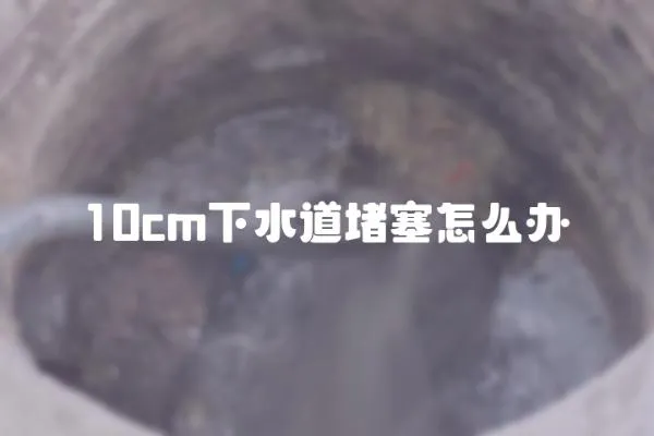 10cm下水道堵塞怎么辦